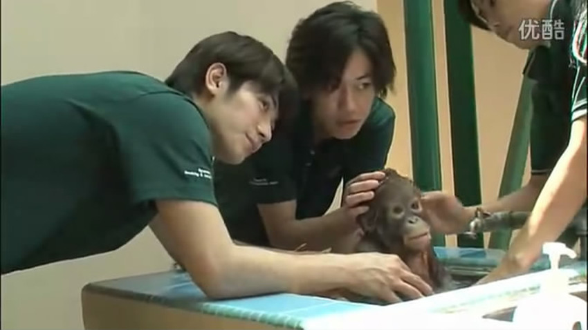 《HT~赤道の真下で、鍋をつつく~》海报第8张图片