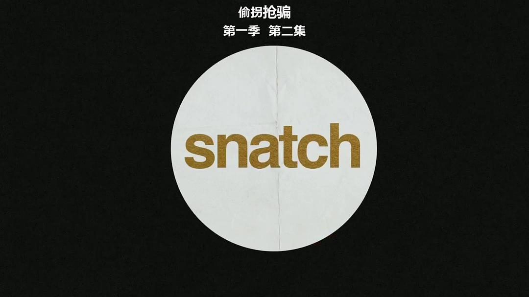 《偷拐抢骗第一季》海报第19张图片