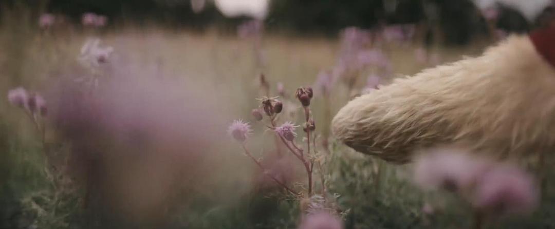 《克里斯托弗·罗宾》剧照第53张图片