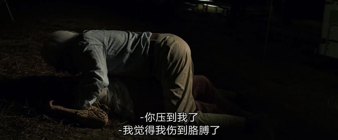 《爱在记忆消逝前》剧照第54张图片