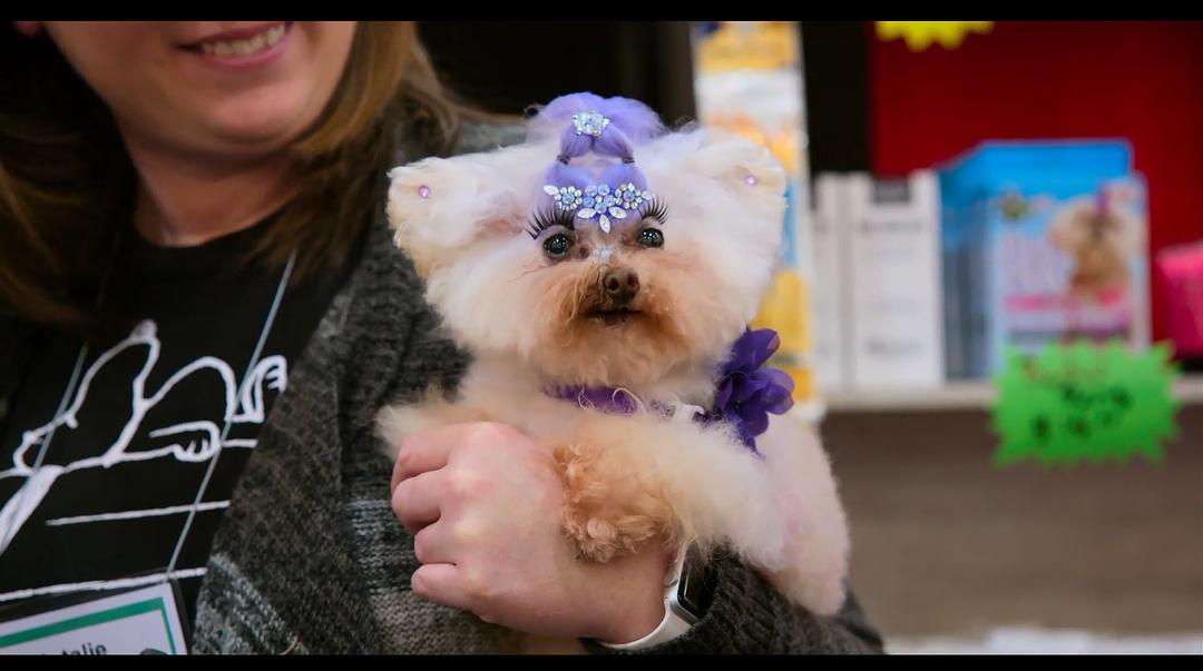 《爱犬情深第一季》剧照