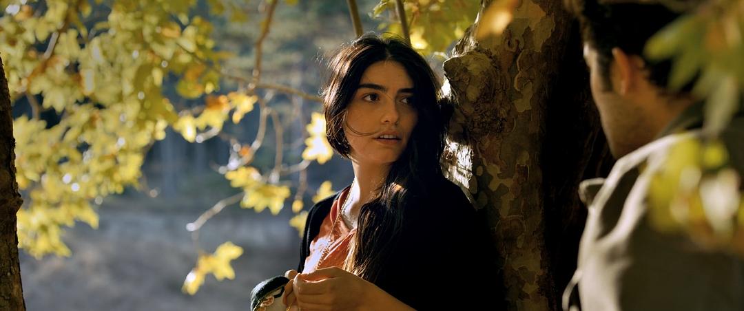 《野梨树》海报第30张图片