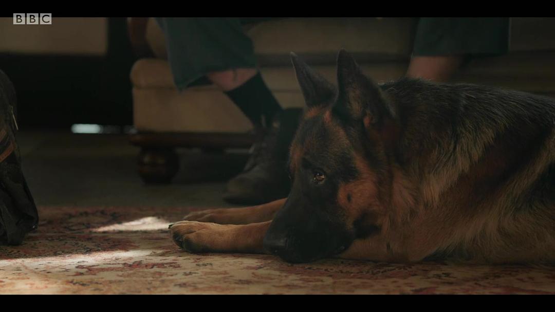 《巴普蒂斯特》海报第44张图片