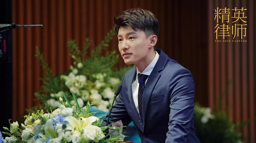 《精英律师》海报第53张图片