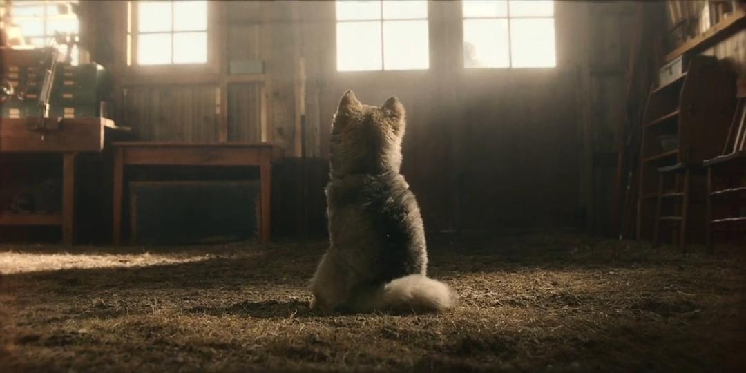 《多哥》剧照第15张图片