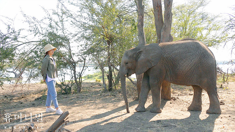 《人类-动物》剧照第52张图片