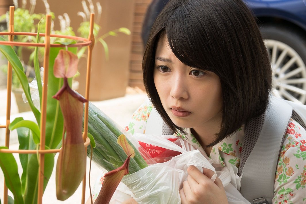 《猪笼草之梦》剧照