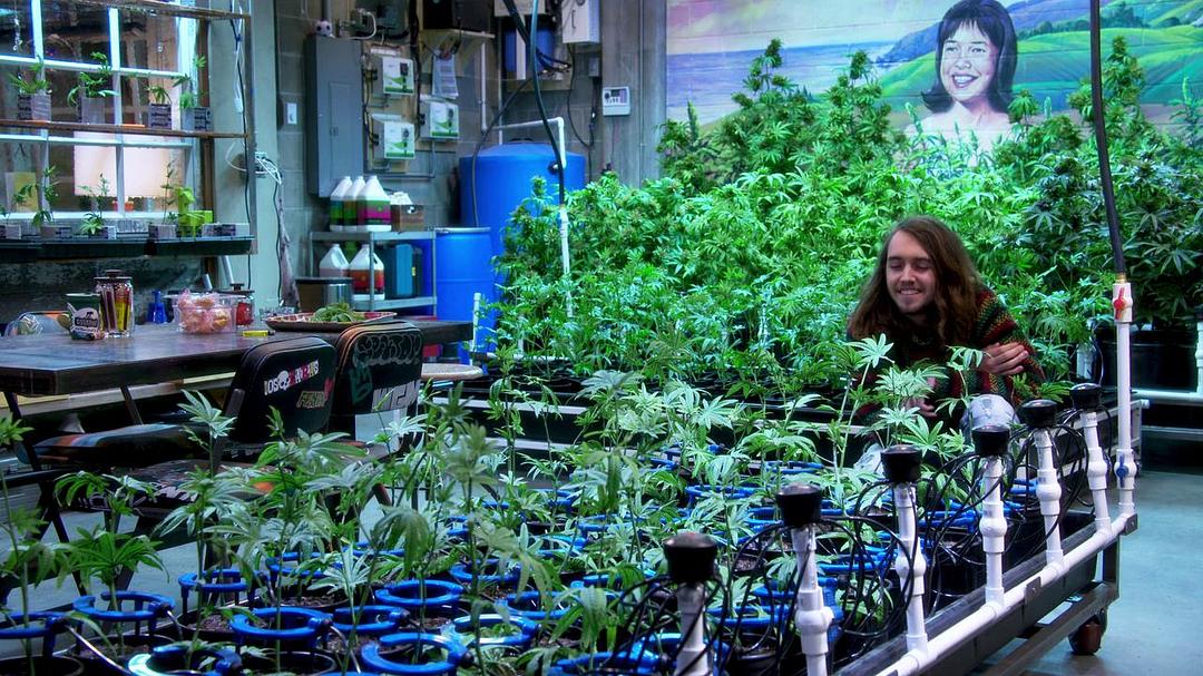 《生活大麻烦》剧照第43张图片 《生活大麻烦》剧照第43张图片