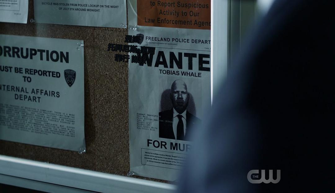 《黑霹雳第一季》海报第23张图片 《黑霹雳第一季》海报第23张图片