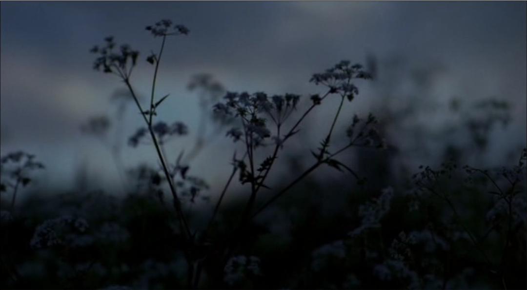 《德伯家的苔丝》海报第45张图片 《德伯家的苔丝》海报第45张图片