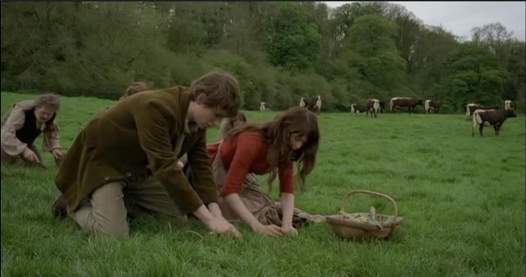 《德伯家的苔丝》海报第36张图片 《德伯家的苔丝》海报第36张图片