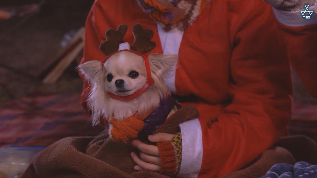 《摇曳露营》海报第44张图片 《摇曳露营》海报第44张图片